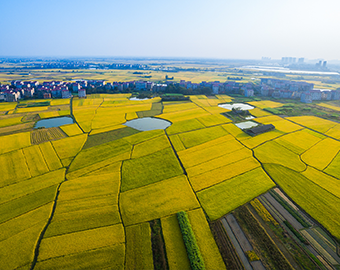 Irrigation District Informatization