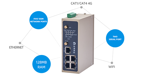 Multiple Networking Functions